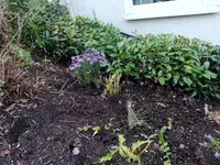 1-IMG_20201011_172755.jpg