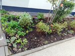 1-IMG_20201011_172822.jpg
