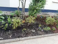 1-IMG_20201011_172827.webp