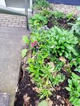 1-IMG_20201011_175633.jpg