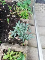 1-IMG_20201011_175643.jpg