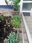 1-IMG_20201011_175645.jpg