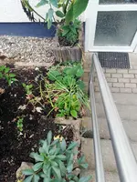 1-IMG_20201011_175645.webp