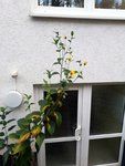 1-IMG_20201011_175648.jpg