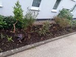 1-IMG_20201011_175720.jpg