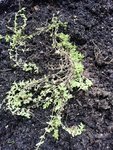 1-IMG_20201011_175739.jpg