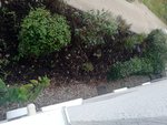 1-IMG_20201011_180248.jpg
