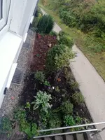 1-IMG_20201011_180411.jpg