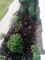 1-IMG_20201011_180418.webp