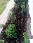 1-IMG_20201011_180418.jpg