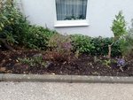 1-IMG_20201011_175718.jpg