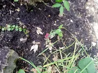 1-IMG_20201011_175803.webp