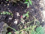 1-IMG_20201011_175803.jpg