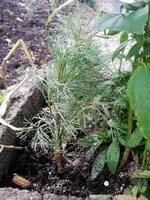 1-IMG_20201011_175808.webp