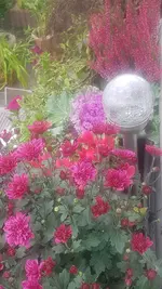 20201012_111843.webp