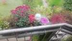 20201012_111808.jpg
