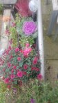20201012_111953.jpg