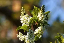image001.webp
