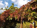 20201011_163455.jpg