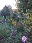 20201011_174822.jpg