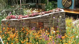 insektenhotel (1).webp