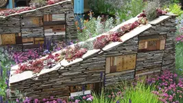 insektenhotel (3).webp