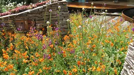 insektenhotel (5).webp