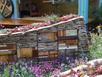 insektenhotel (7).JPG