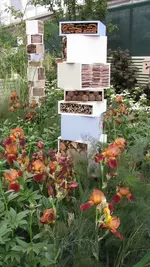 insektenhotel (2).webp