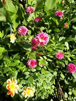20201011_102817.webp