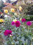 20201011_102431.jpg