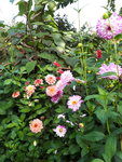 20201011_102910.jpg