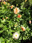 20201011_102810.jpg