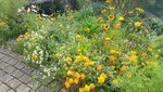 20201013_133127.jpg