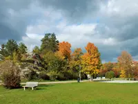 DSCF4219 (2).webp