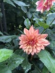 IMG_0980.JPG
