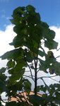 20201011_124851.jpg