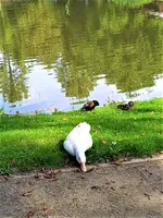 IMG_20200915_131532_1.webp