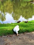 IMG_20200915_131532_1.jpg