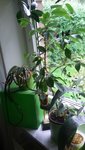 20201015_102216.jpg