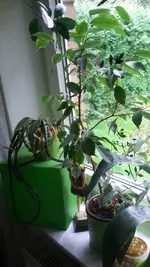 20201015_102216.webp