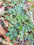 20201011_155314.jpg