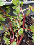 20201015_122149.jpg