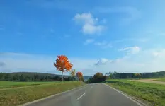DSCF4226 (2).webp