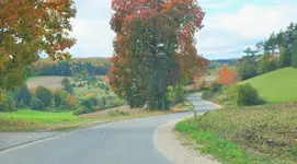 DSCF4233 (2).webp