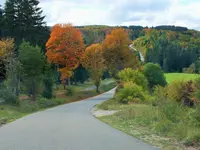 DSCF4236 (2).webp