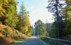 DSCF4224 (2).webp