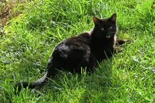 IMG_7378 v (2).webp