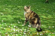 IMG_7385 v (2).webp