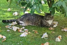 IMG_6775 v (2).webp